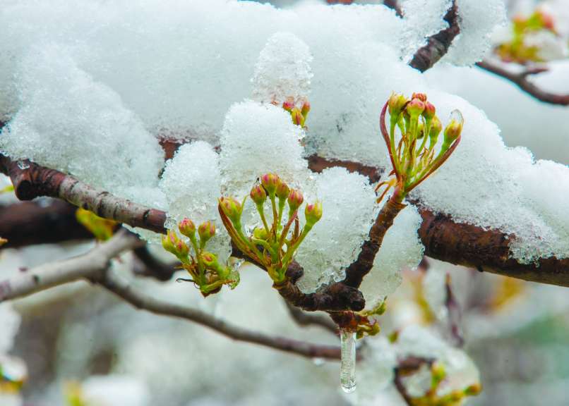 podnebne_spremembe6 shutterstock 9