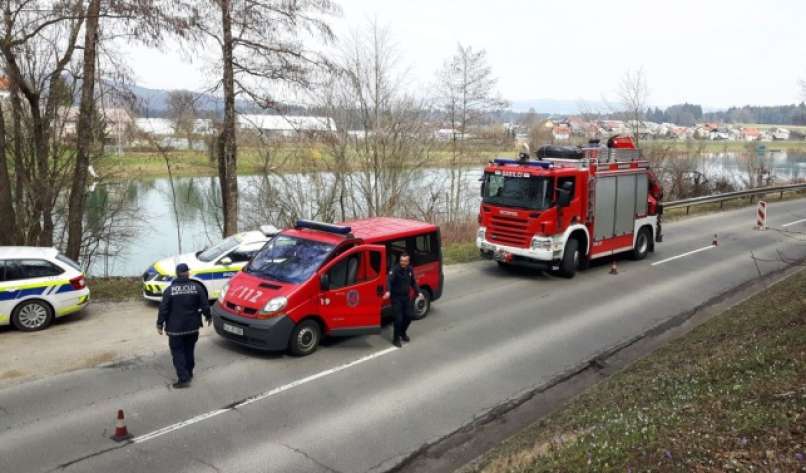 Krka, Patricija, Žiga