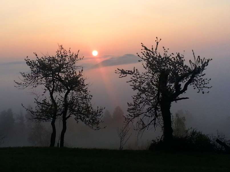 Pomlad, megla, megleno jutro
