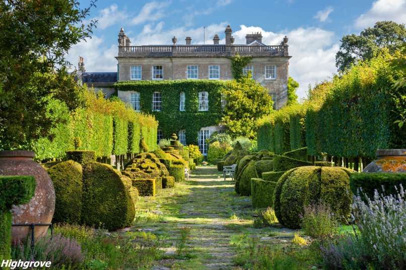 The Thyme Walk with Golden Yew Topiary