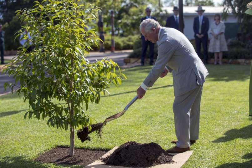 princ charles