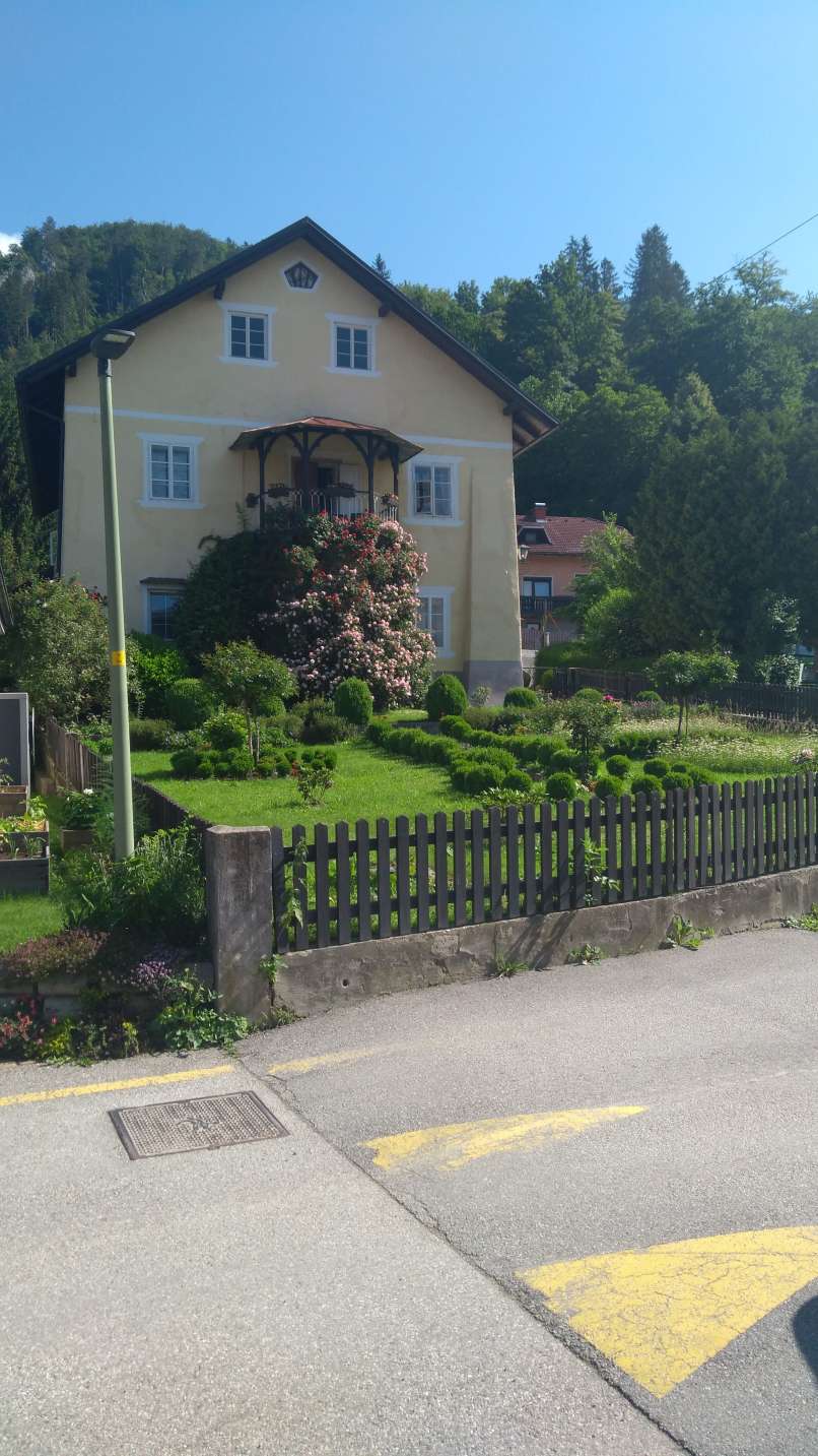 rožni dvor