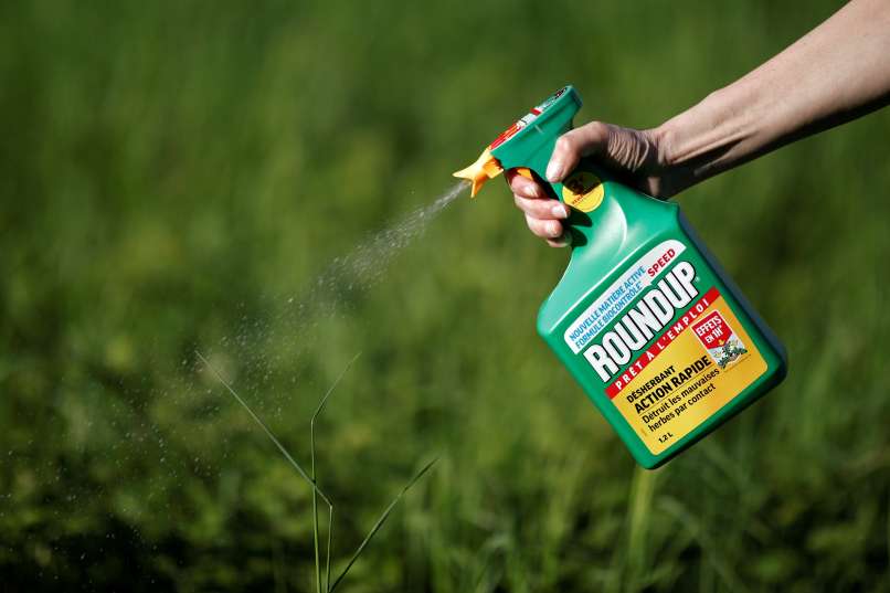 monsanto, roundup, herbicid