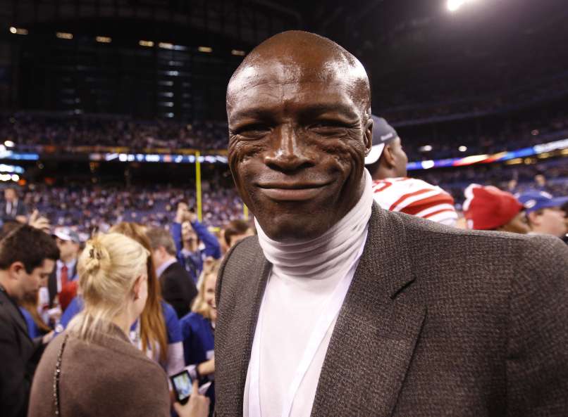 Seal – OBRRAZ + GLAVA