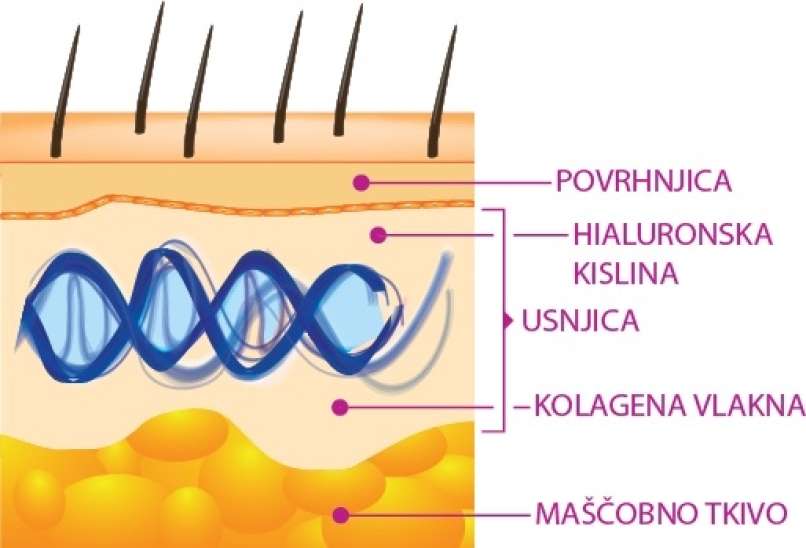 bio