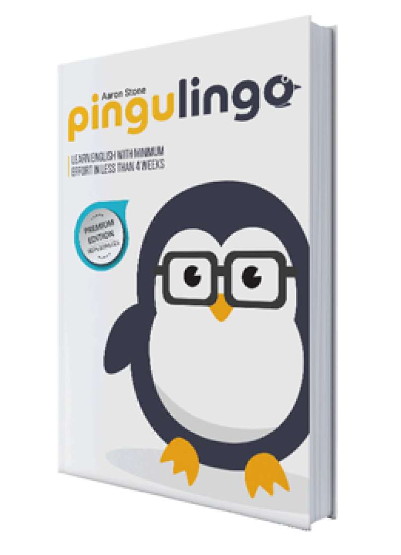 pingulingo_2