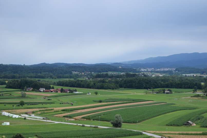 razgled