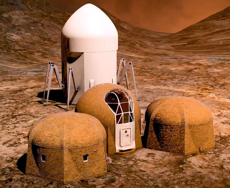 zopherus dome mars