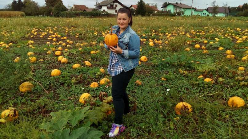 katerina na bučnem polju