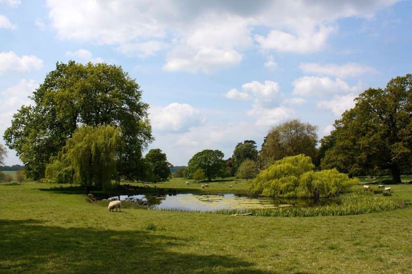 3 cotswolds