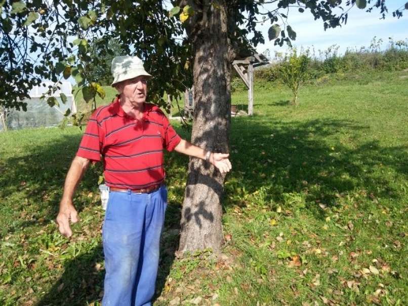 Alojz Pečjak