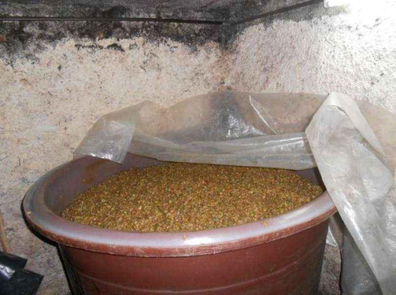 mošt, tropine
