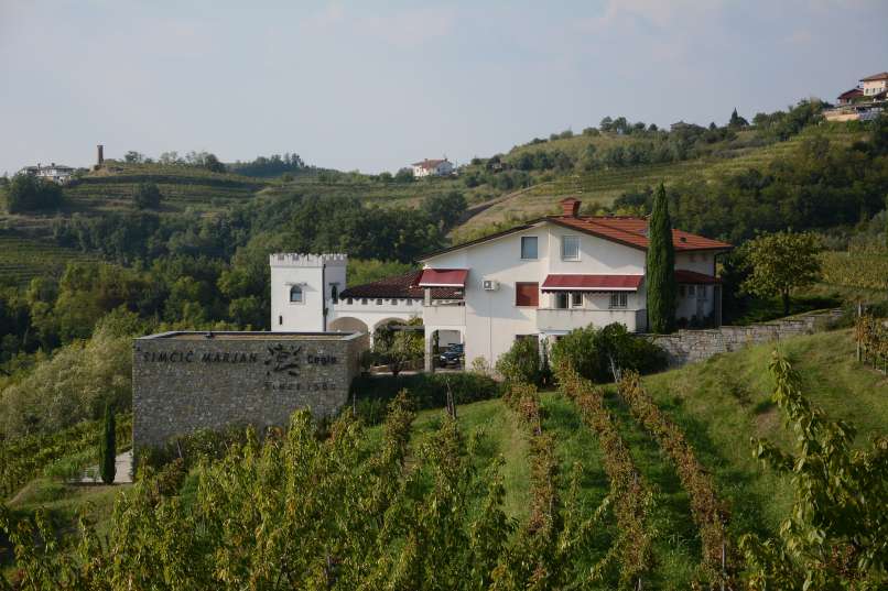 simčič