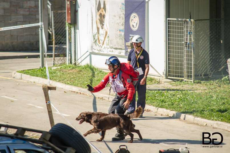 Člani Enote reševalnih psov Slovenije