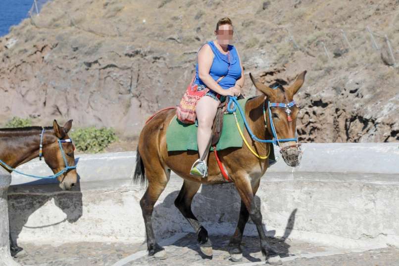 santorini, debeli turisti, osli