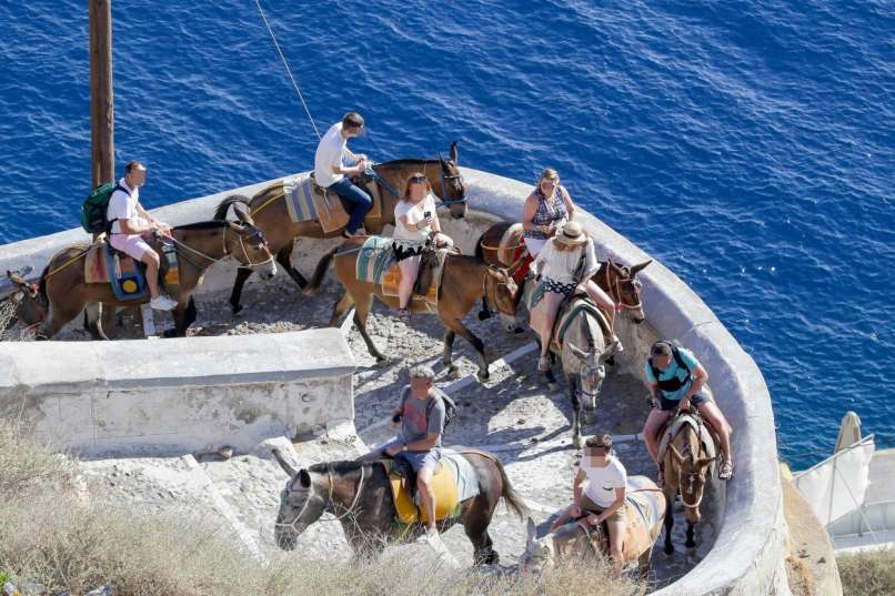 santorini, debeli turisti, osli