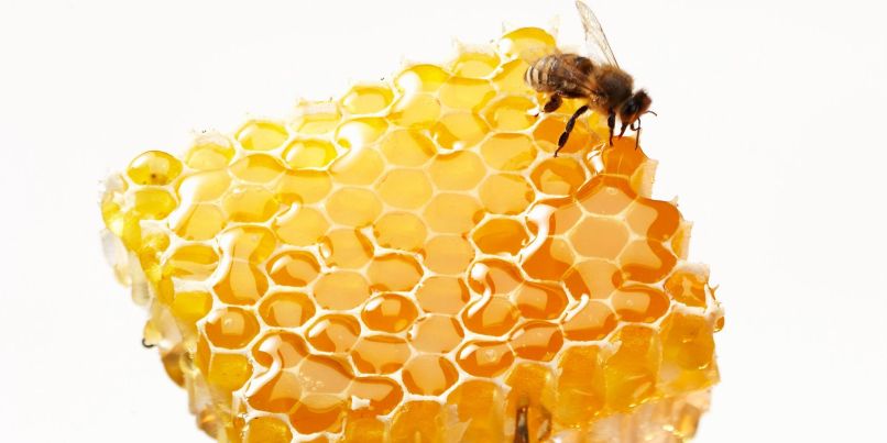 propolis