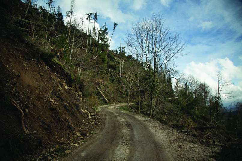 koroska4