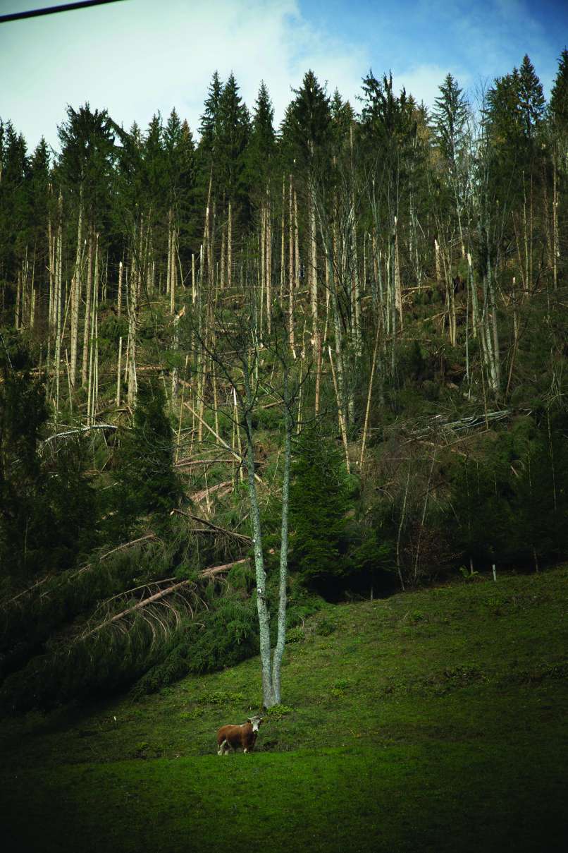 koroska1