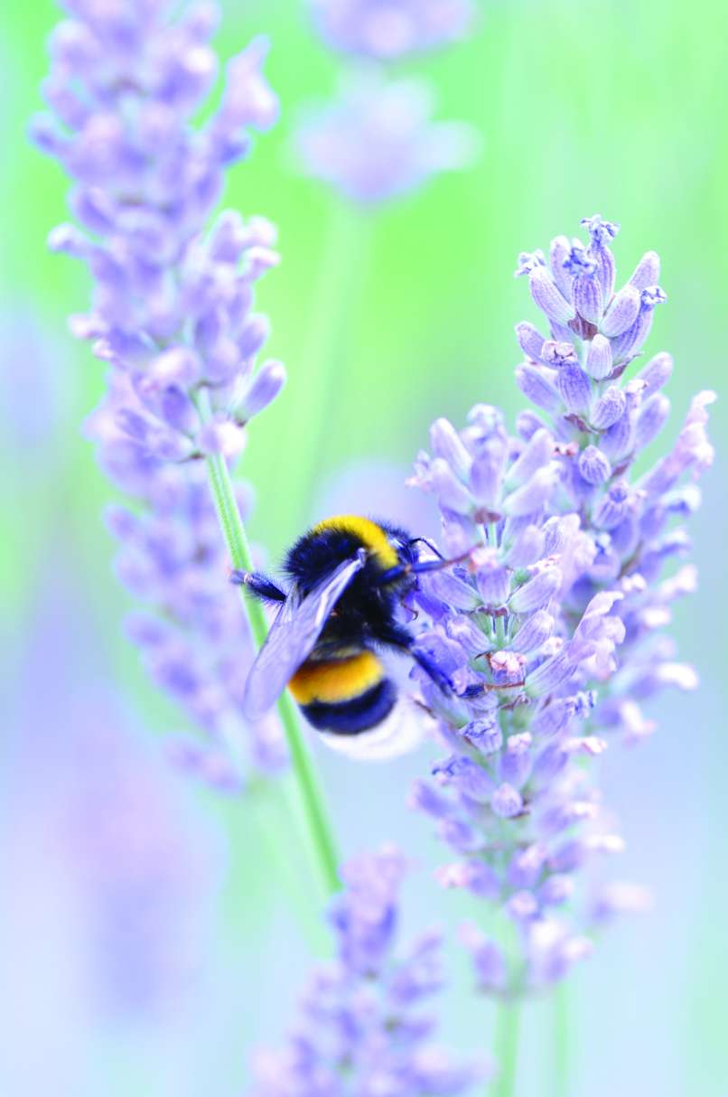 zuzelke thomas-jorn-461450-unsplash