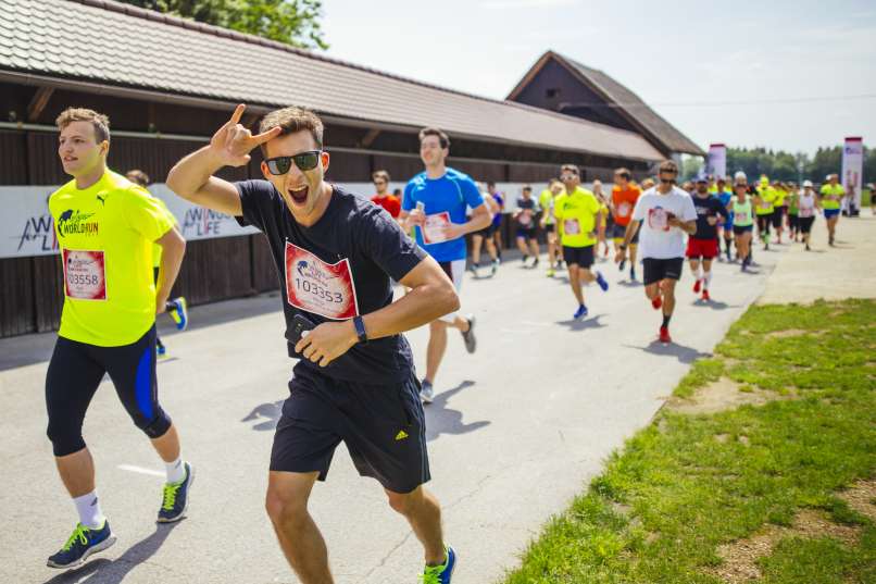 Wings for Life World Run