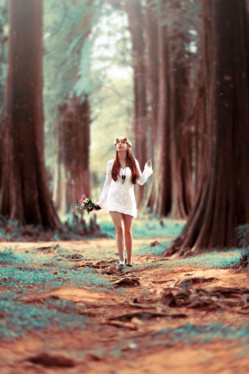 beautiful-blur-bouquet-573302