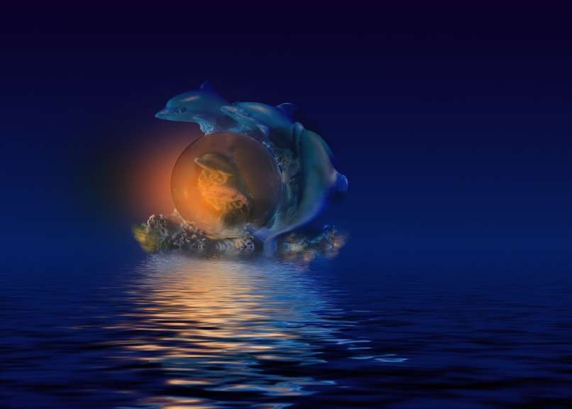 fish-1500271_1280