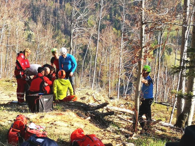 tolminsko, jadralni padalec, drevo, nesreča