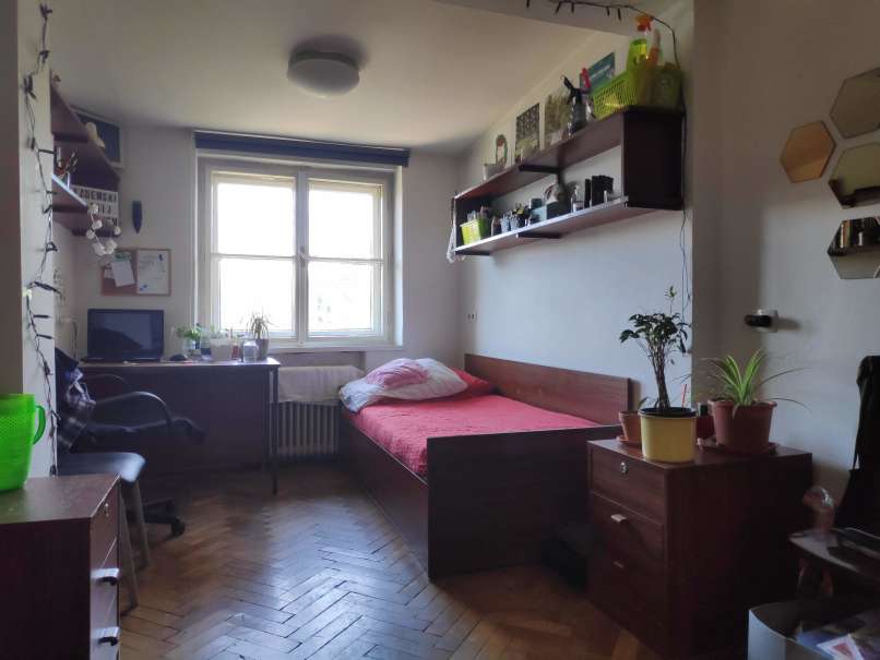 Akademski kolegij, Baragovo semenišče