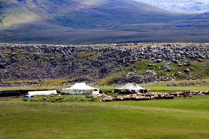 Armenija