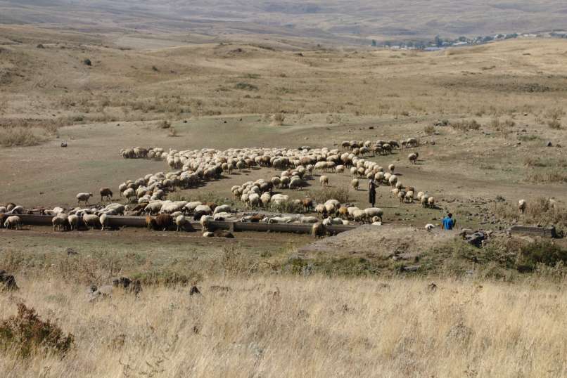 Armenija