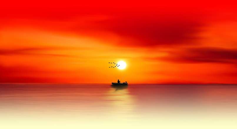 sonce