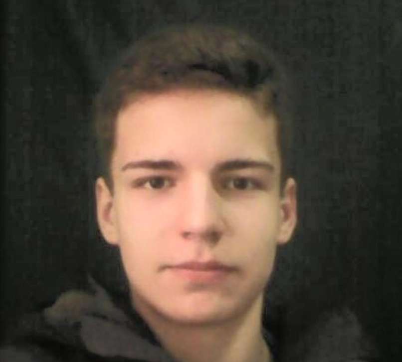 pavle grujić