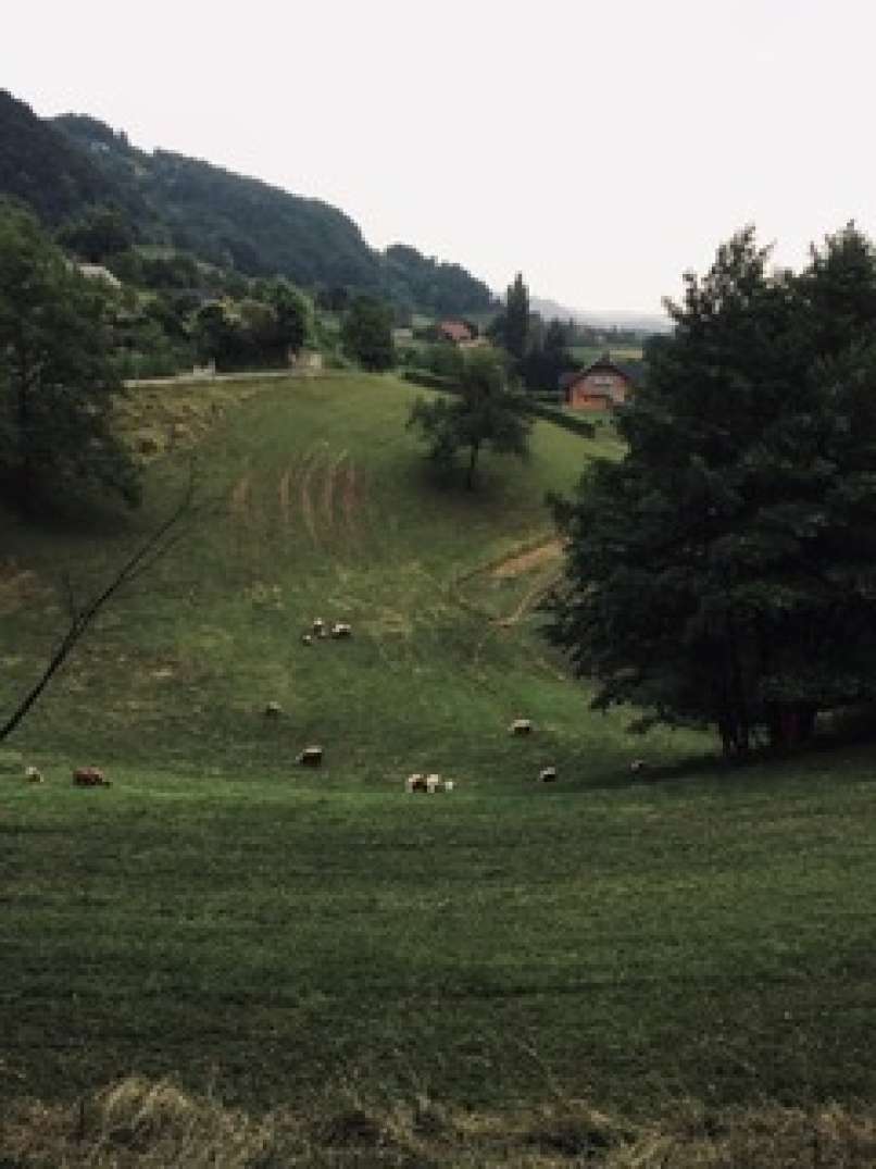 pašnik
