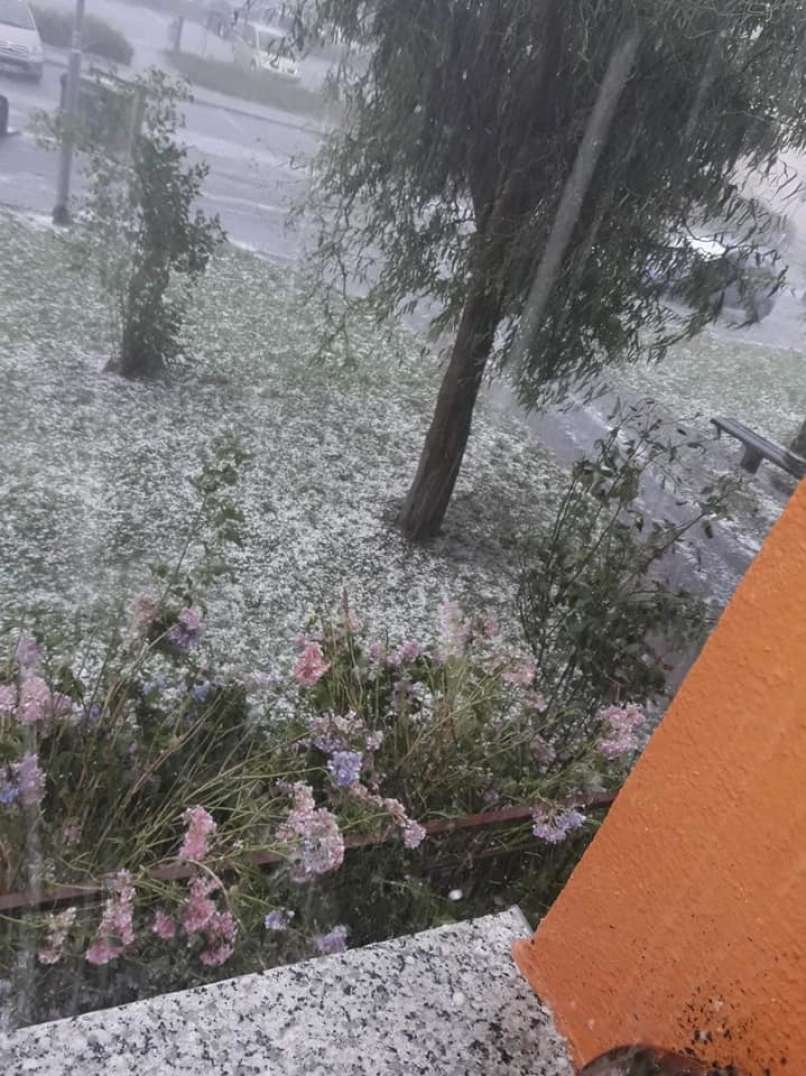 toča, ptuj