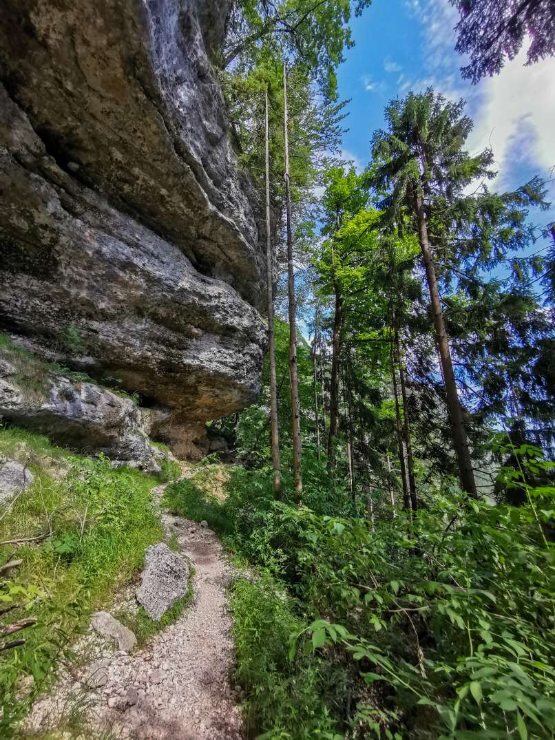 IMG_20190705_161641