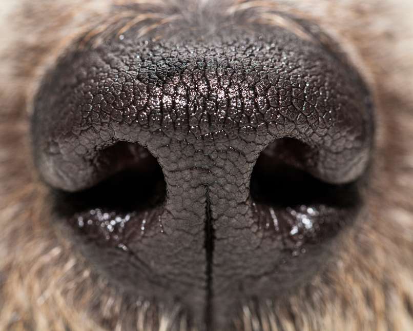 AdobeStock_109009968