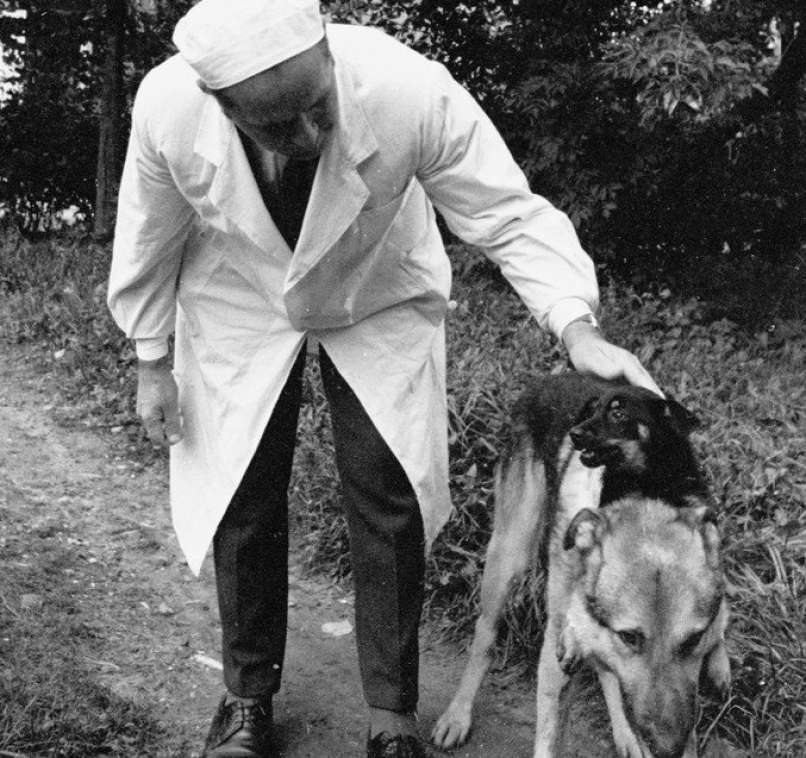 Vladimir Demikhov