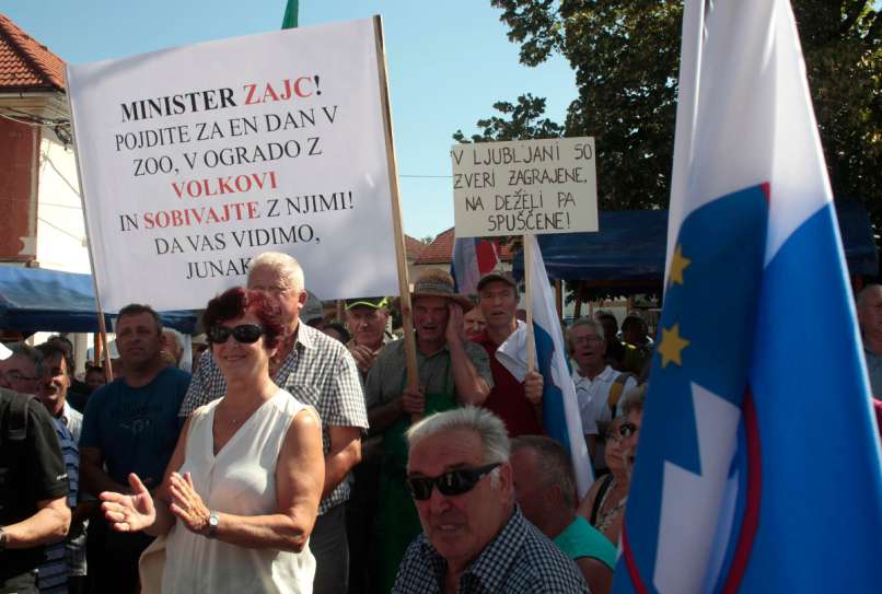 Velike lašče, protest,