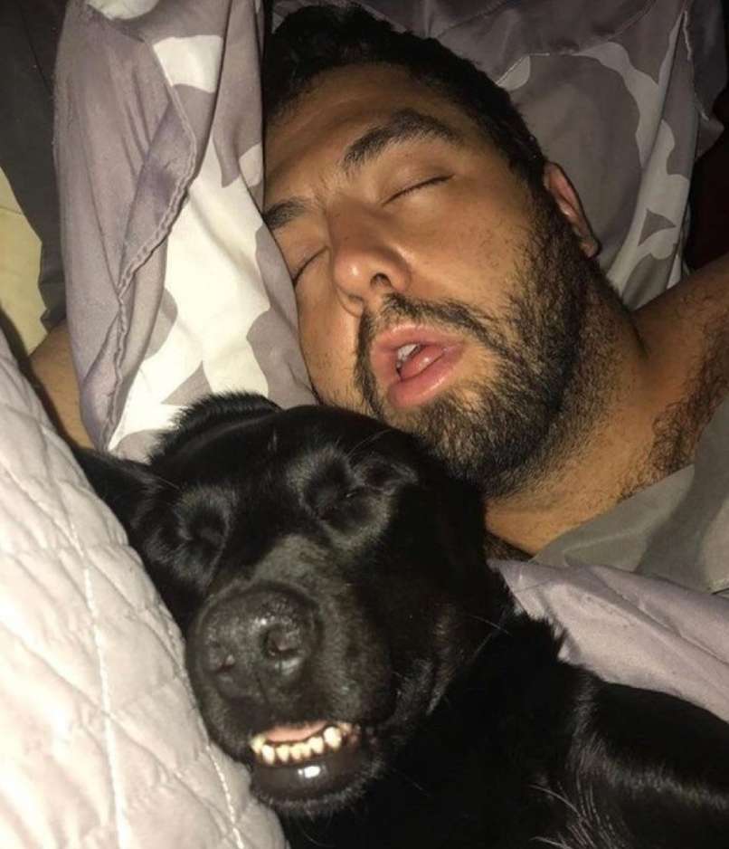 pes, lastnik twitter sleeping-lab-and-owner