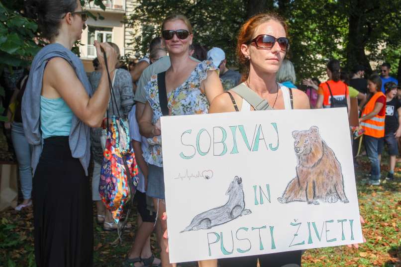 protest, odstrel, zveri