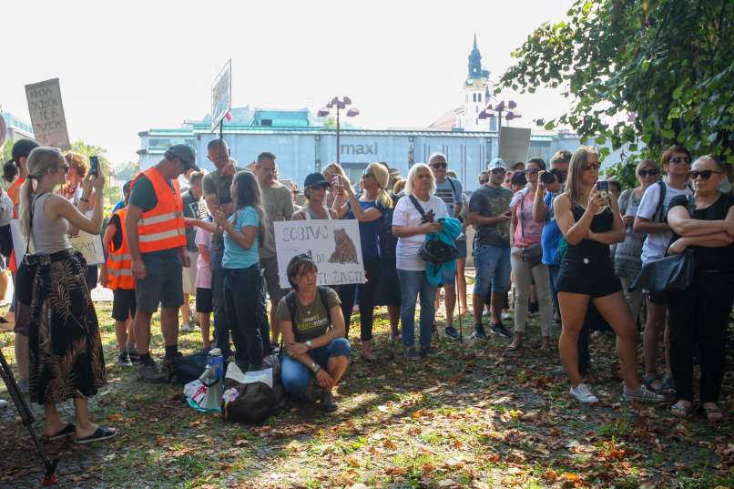 protest, odstrel, zveri