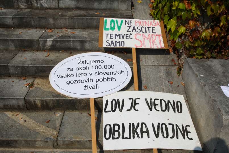 protest, odstrel, zveri