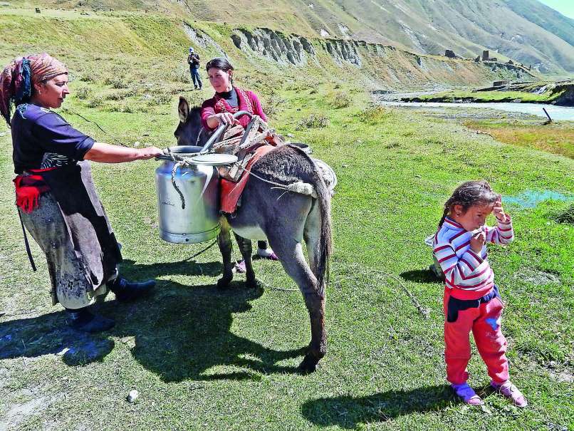 reportaza biber nomadski pastirji 2