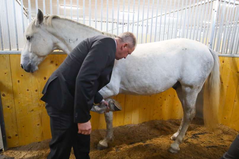zdravko-počivalšek