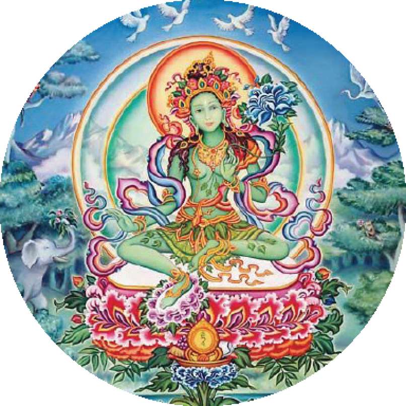 Tara