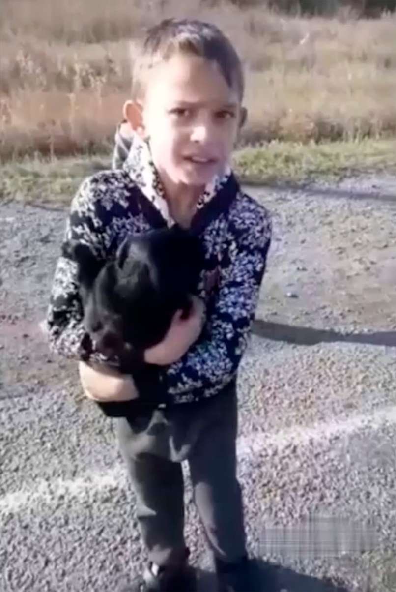 rusija, otroka, kraja vozila
