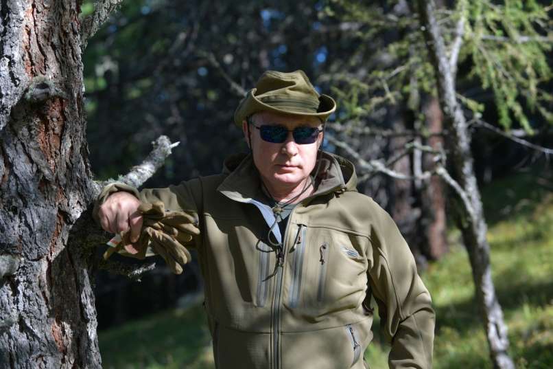 vladimir-putin, gobe, rojstni-dan