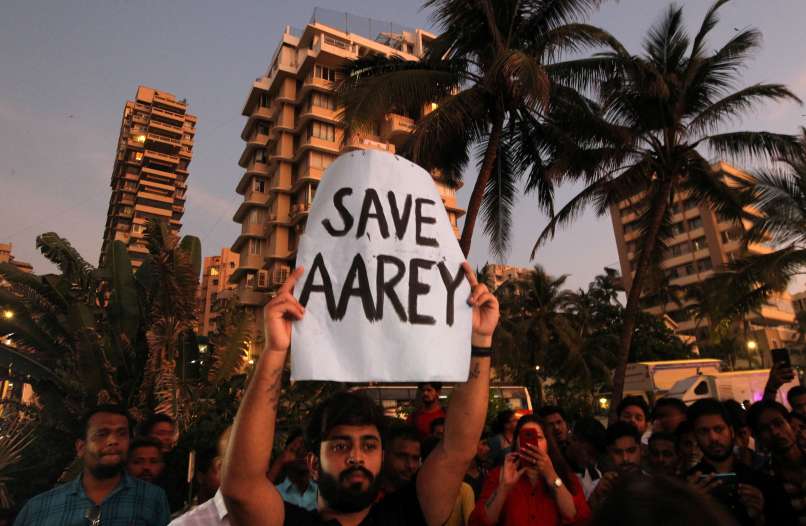 protesti, aarey, gozd