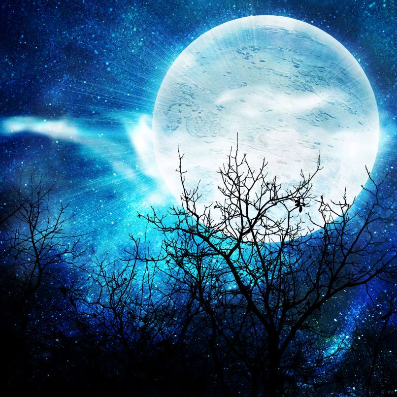 polna luna